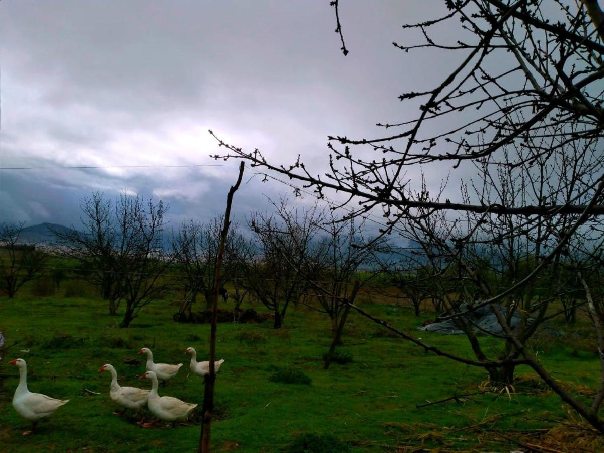 Ferme D'Hote La Vallee Азру Екстериор снимка