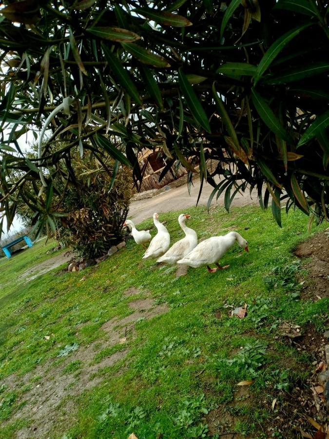 Ferme D'Hote La Vallee Азру Екстериор снимка