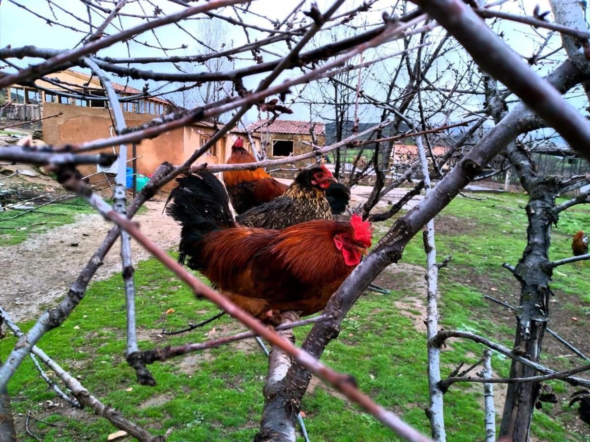 Ferme D'Hote La Vallee Азру Екстериор снимка